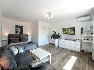 Апартаменты Daily rent apartments Николаев Апартаменты с видом на сад-19
