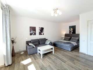 Апартаменты Daily rent apartments Николаев Апартаменты с видом на сад-21